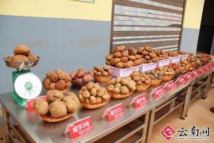 龙在线观看土豆,揭秘热门剧集背后的制作故事 第3张 龙在线观看土豆,揭秘热门剧集背后的制作故事 第3张