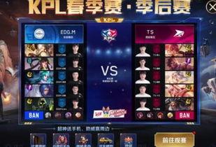 王者最新kpl皮肤爆料,王者峡谷再掀风云，神秘英雄华丽蜕变